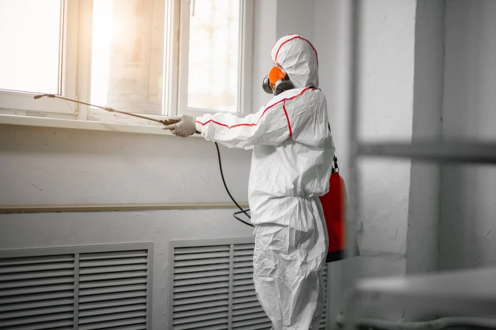 Professional mold remediation services in Bancroft, MI